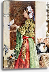 Постер Льюис Джон Girl with Two Caged Doves, Cairo, 1864