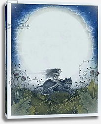 Постер Андерсон Уэйн Scottish Witch on a Black Cat
