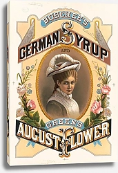 Постер Веллс и Хоуп Ко Boschee's German syrup and Green's August flowers