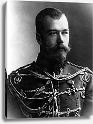 Постер Фотопортрет Николая II