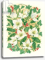 Постер Бентон Линда (совр) Christmas Roses, 1997
