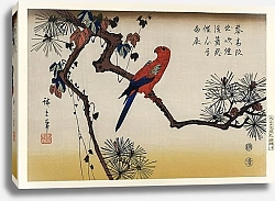 Постер Иллюстрация в стиле Укиё-э, Ара на ветке сосны