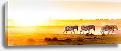 Постер Панорама с зебрами, бредущими на фоне заката
