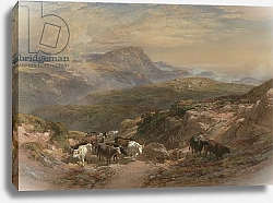 Постер Лейтш Уильям Scene in the Highlands, 19th century