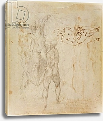 Постер Микеланджело (Michelangelo Buonarroti) Male group and seated figure with child