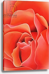 Постер Сим Миунг-Бо (совр) The Rose, 2003 4