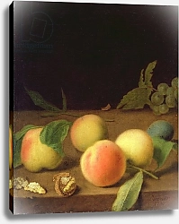 Постер Деннер Бальтазар Fruit Still Life, 1730