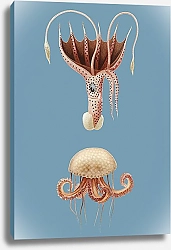 Постер Лиловая медуза и кальмар