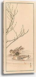 Постер Сакухиро Нанбара Shūbi gakan, Pl.25