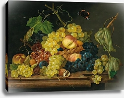 Постер Петтер Франс Still Life with Grapes, Peaches and Walnuts