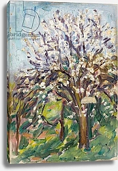Постер Стадд Артур Almond Blossom on a sloping verge, c.1910
