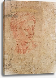 Постер Микеланджело (Michelangelo Buonarroti) Study of a Head 3
