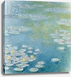 Постер Моне Клод (Claude Monet) Nympheas at Giverny, 1908