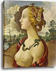 Постер Сомов Константин Copy of 'Portrait of Simonetta Vespucci', by Piero di Cosimo