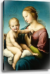 Постер Рафаэль (Raphael Santi) Niccolini-Cowper Madonna, 1508