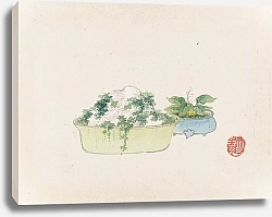 Постер Неизвестен Bonsai kabenzu, Pl.10
