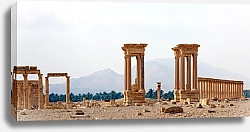 Постер Пальмира, Сирия. Руины древнего храма