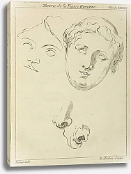 Постер Рубенс Петер (Pieter Paul Rubens) Two human female faces and two noses–one human, animal