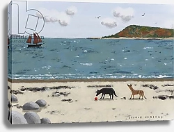 Постер Хардинг Софи (совр) Dogs on Beach and Boat