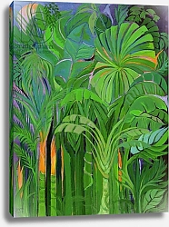 Постер Шава Лайла (совр) Rain Forest, Malaysia, 1990