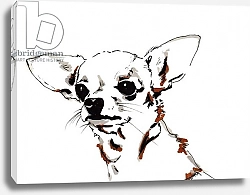 Постер Чамберс Джо (совр) Big Ears the Chihuahua, 2012