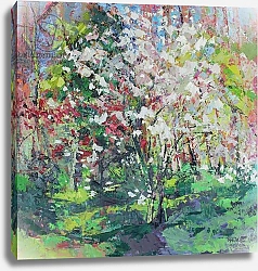 Постер Пауль Сильвия (совр) Blossom in the Wood