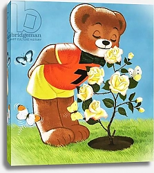 Постер Филлипс Уильям (дет) Teddy Bear 216