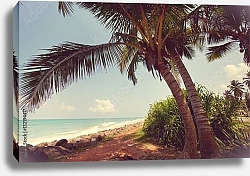 Постер Тропический пляж с пальмами