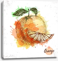 Постер Акварельный апельсиновый эскиз