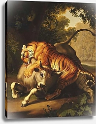 Постер A Tiger attacking a Bull, 1785