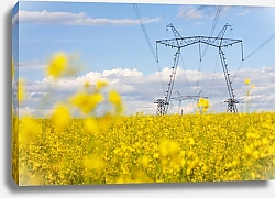 Постер Опора ЛЭП в желтом цветущем поле