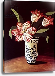 Постер Коффи Дори (совр) Striped Tulip