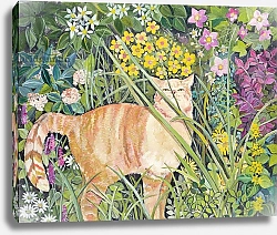 Постер Джонс Хилари (совр) Cat and Long Grass, 1996