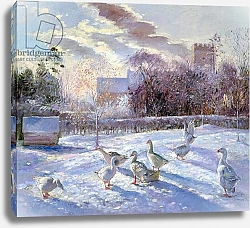 Постер Истон Тимоти (совр) Winter Geese in Church Meadow