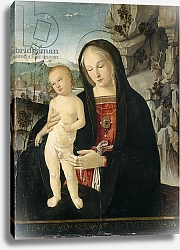 Постер Школа: Итальянская 16в. Madonna and Child, c.1500