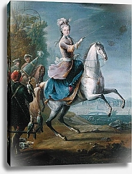 Постер Мартин Жан-Батист Equestrian Portrait of Maria Leszczynska
