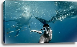 Постер Дайвинг с акулами