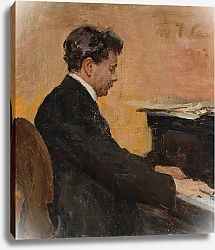 Постер Ционглинский Ян Portrait of Józef Hofmann at the piano
