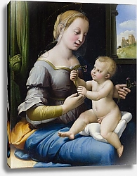 Постер Рафаэль (Raphael Santi) La Madonna dei Garofani