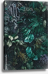 Постер Стена тропических растений