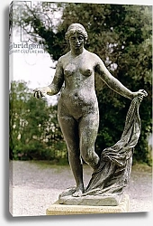 Постер Ренуар Пьер (Pierre-Auguste Renoir) Venus Victrix