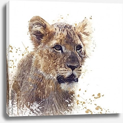 Постер Молодой лев