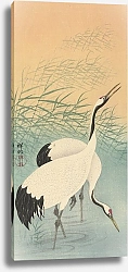 Постер Косон Охара Two cranes