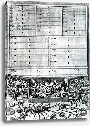 Постер Школа: Голландская 18в. Table II from 'Elenchus Tabularum' by Levinus Vincent, published 1719