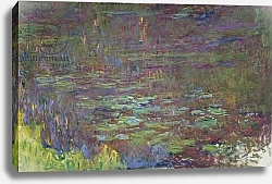 Постер Моне Клод (Claude Monet) Waterlilies at Sunset, detail from the right hand side, 1915-26