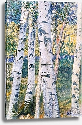 Постер Ларсон Карл Birch Trees, 1910