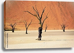 Постер Высохшие деревья в пустыне Деад Фляй, Намибия, Южная Африка