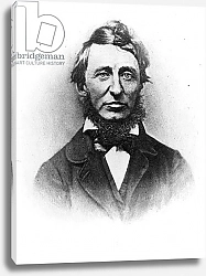 Постер Американский фотограф Henry Thoreau