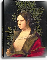 Постер Джорджоне Portrait of a Young Woman, 1506