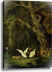 Постер Тишбейн Иоганн Foxes and Geese